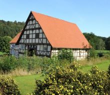 diemelstadt pickardshammer