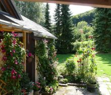 Blick in den Garten im Ferienhaus am Lohwald Willingen-Usseln