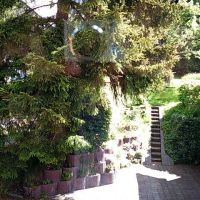 Garten Fewos Biedermann Usseln,