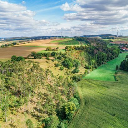 Kalkmagerrasenflächen bei Warburg-Dalheim