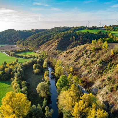 Kalkmagerrasenflächen bei Liebenau