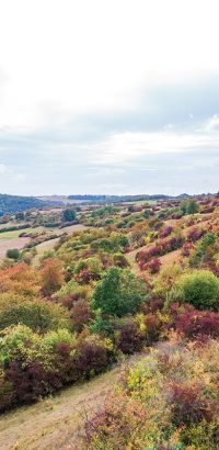Kalkmagerrasen bei Trendelburg-Deisel