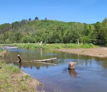 Renaturierungsflaeche der Diemel in Warburg-Germete