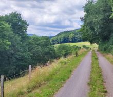 Wassergebundene Decke zwischen Deisfeld und Hemmighausen