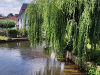 Blick auf die Orpe in Diemelstadt-Wrexen, Foto: Touristik Service Waldeck-Ederbergland GmbH